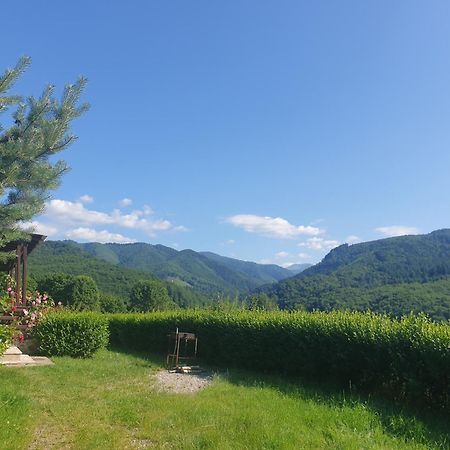 Valea Doamnei Hotel Nucsoara  Exterior photo